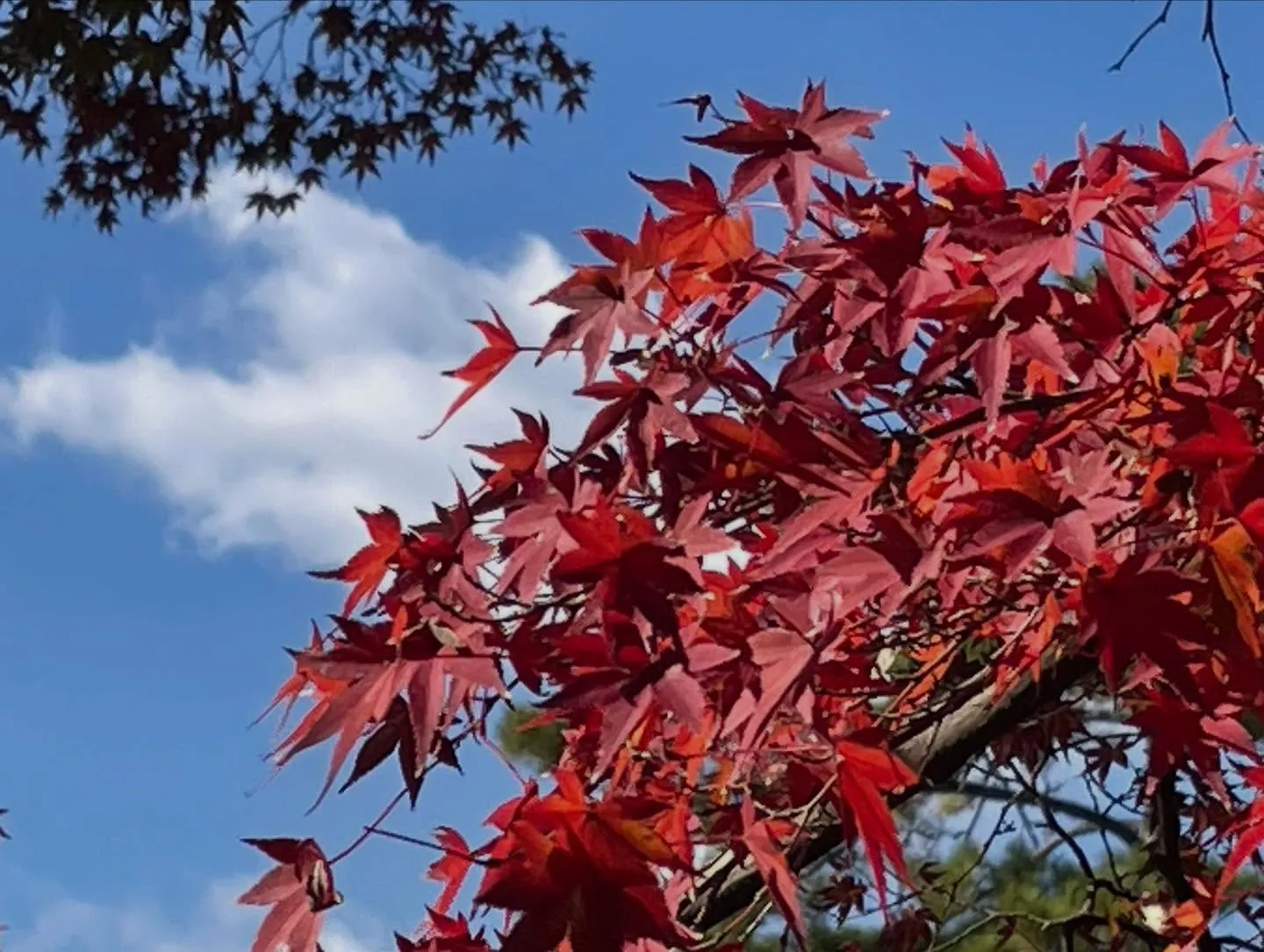 大阪まで週末スポット配送🚚
