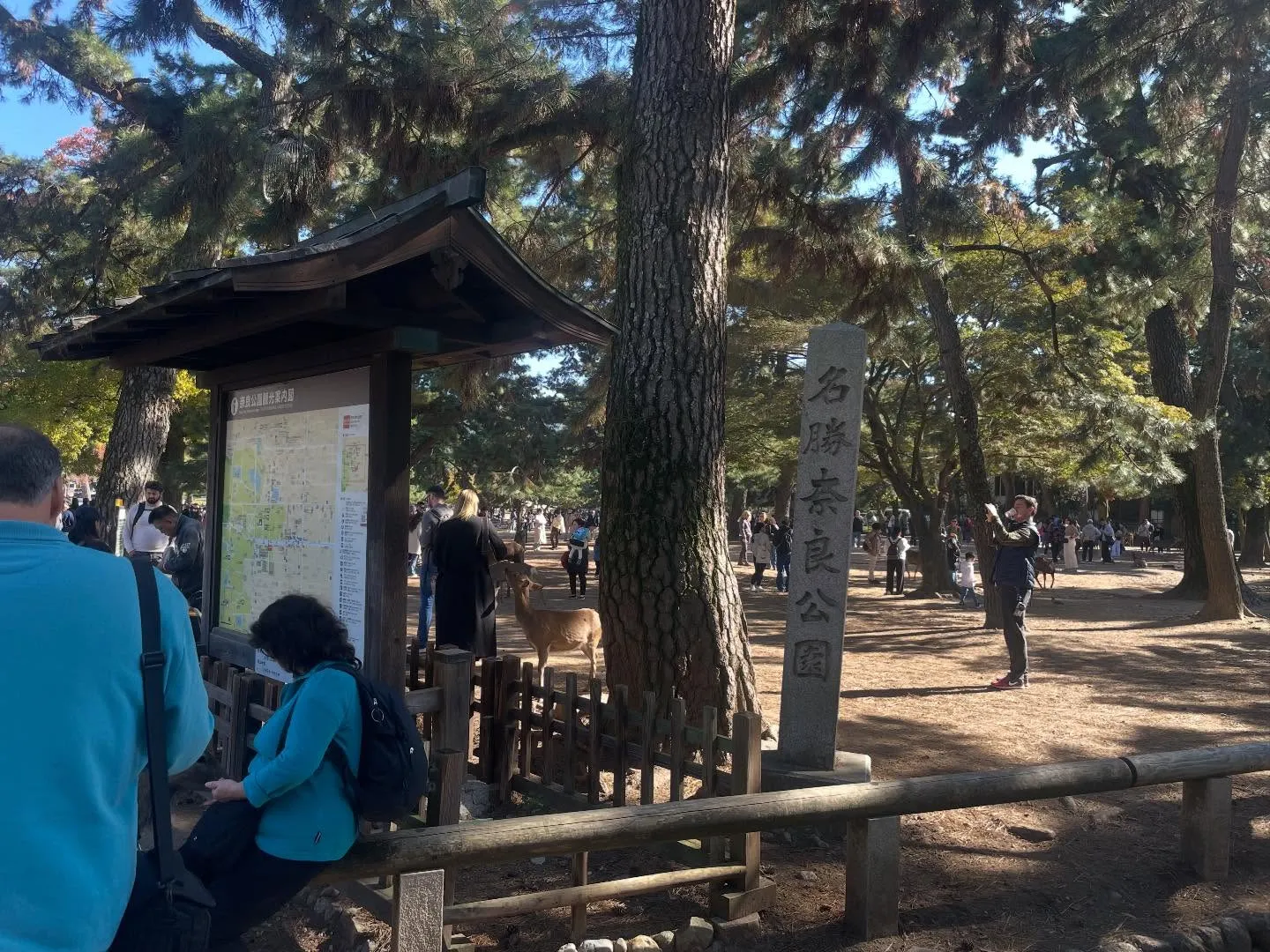 大阪まで週末スポット配送🚚